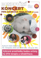 Benefiční koncert pro Marečka Sedláčka
