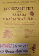 Derniéra JAK NEZABÍT TETU aneb ZÁHADA V KAŠTANOVÉ ULICI