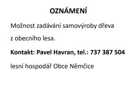 Možnost ukládání roští na Člupku, samovýroba dřeva