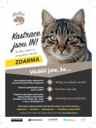 Kastrace koček